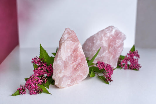Two pink rose quartz crystals on a white surface with green leaves and small pink flowers.