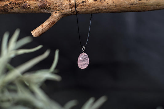 A pink oval pendant hangs from a black cord on a wooden branch, with blurred greenery in the foreground.