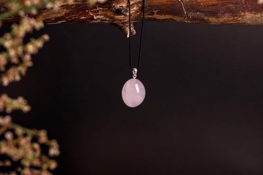 A smooth, pale pink oval pendant hangs from a black cord on a dark wooden branch against a dark background.