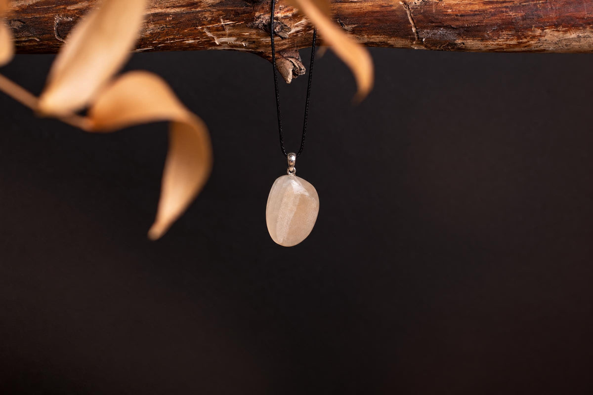A pale, translucent pendant hangs from a black cord on a dark wooden branch against a dark background.