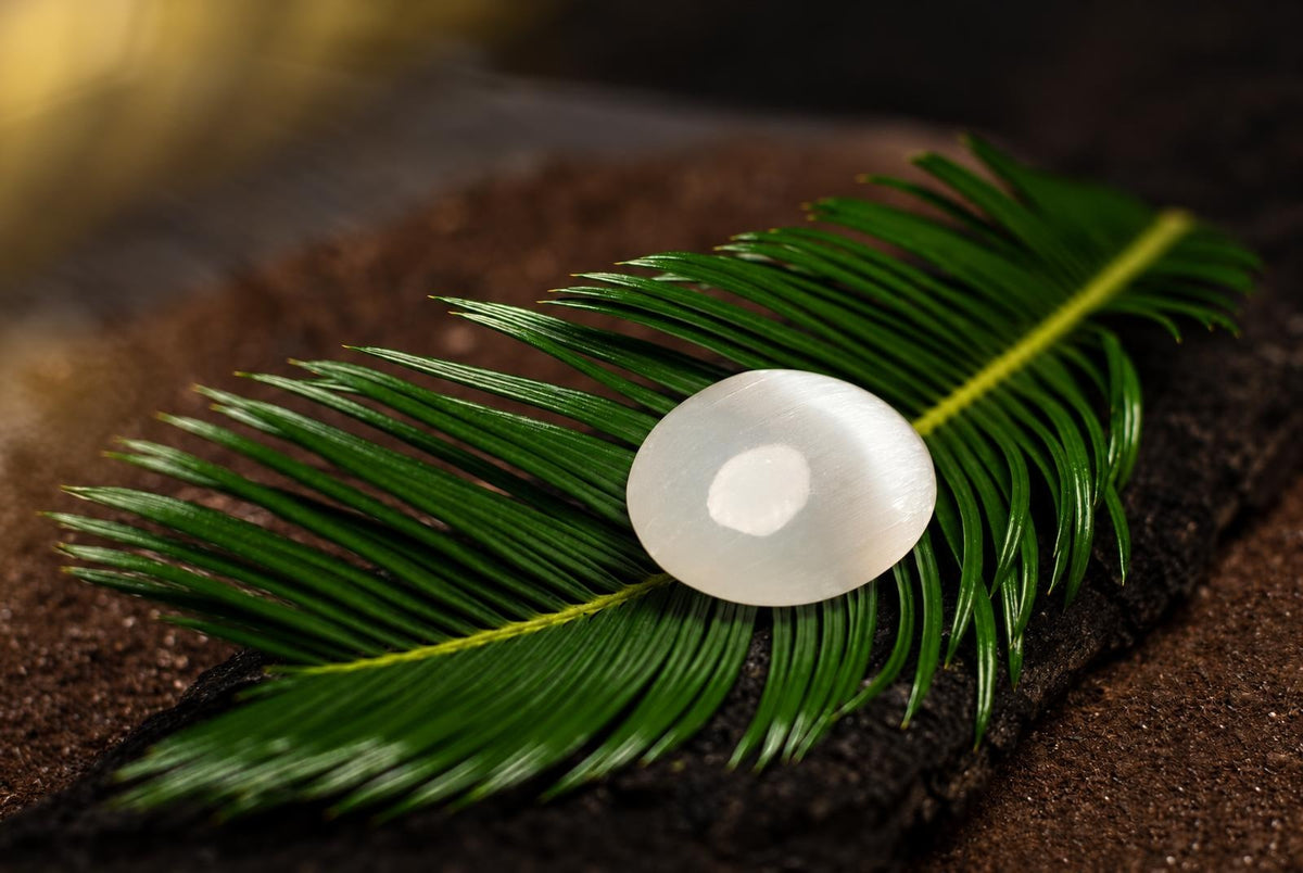 A smooth, white oval stone with a bright reflection rests on a green palm frond against a dark surface.