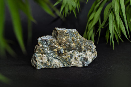 A rough, multi-colored rock with green, brown, and white patches sits on a dark surface near green leaves.
