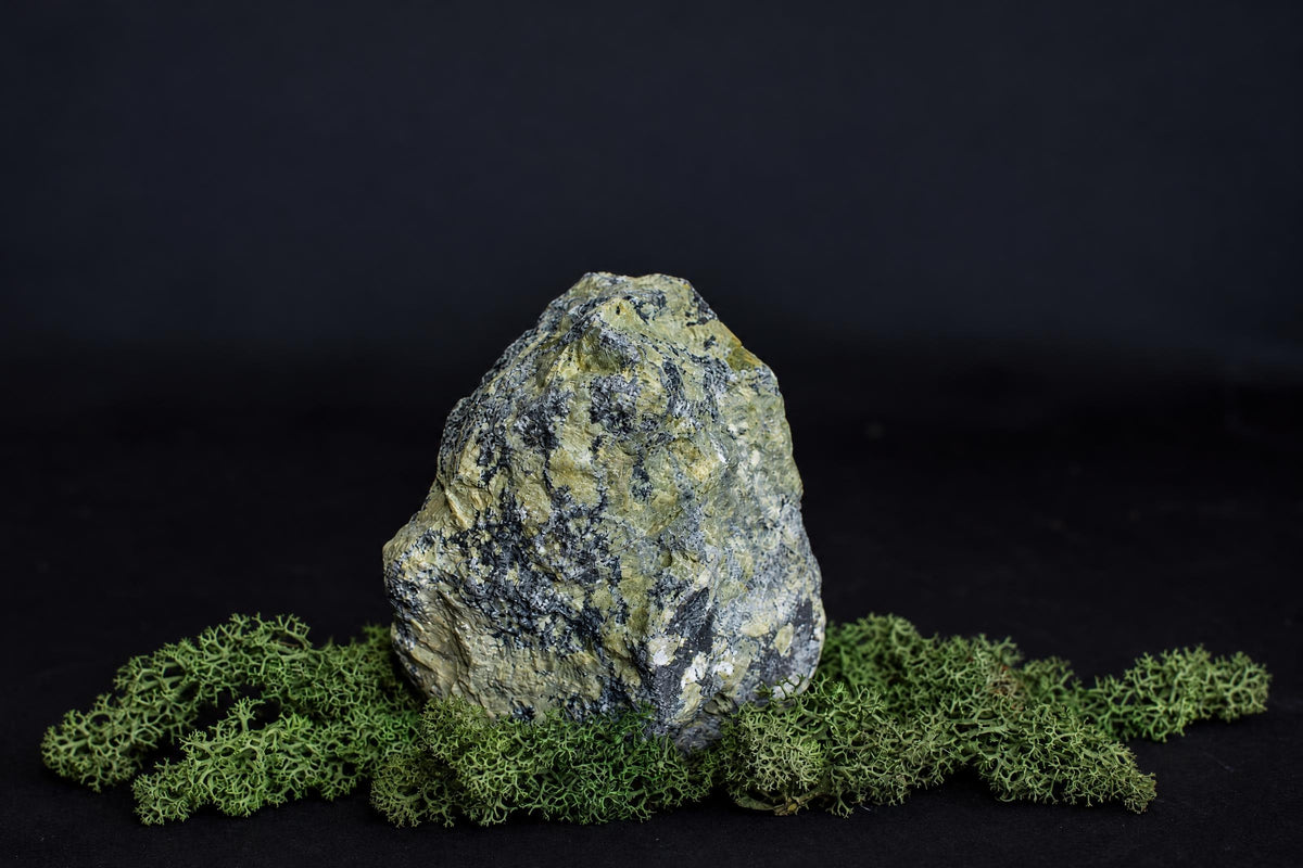 A rough, yellowish-green rock with dark speckles sits on green lichen against a black background.