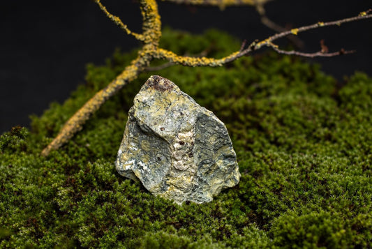 A rough, grey-green rock with yellow and white patches rests on a bed of green moss against a dark background.