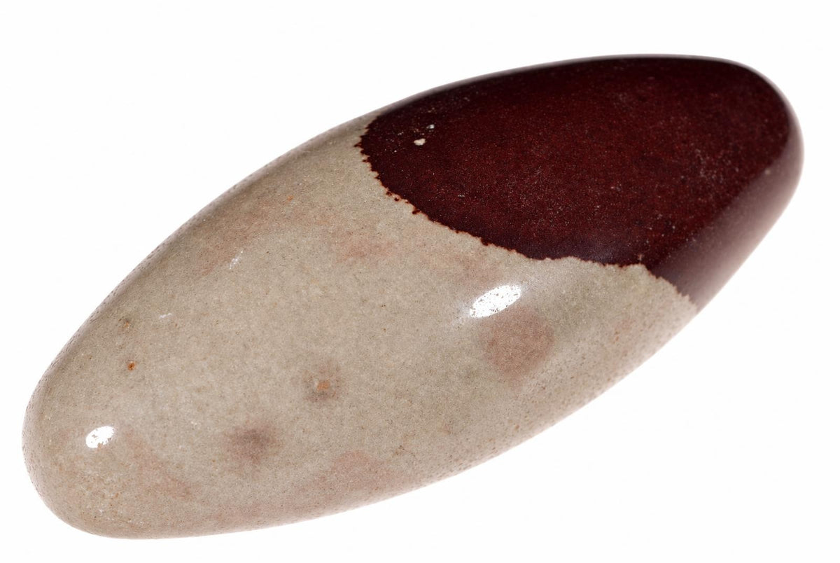 A polished, oval-shaped stone with a dark brown upper half and pale beige lower half on a white background.
