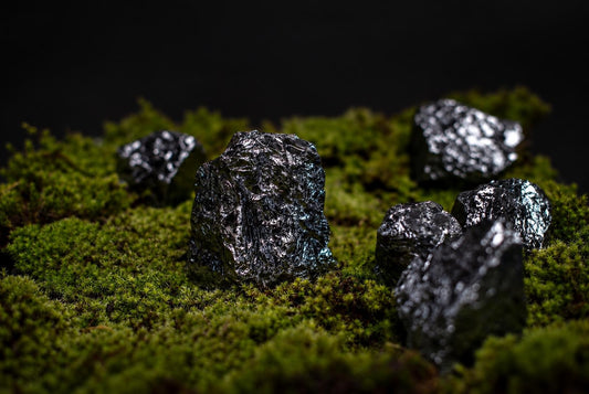 Several dark, metallic-looking chunks of silicon polycrystalline rest on a bed of green moss against a black background.