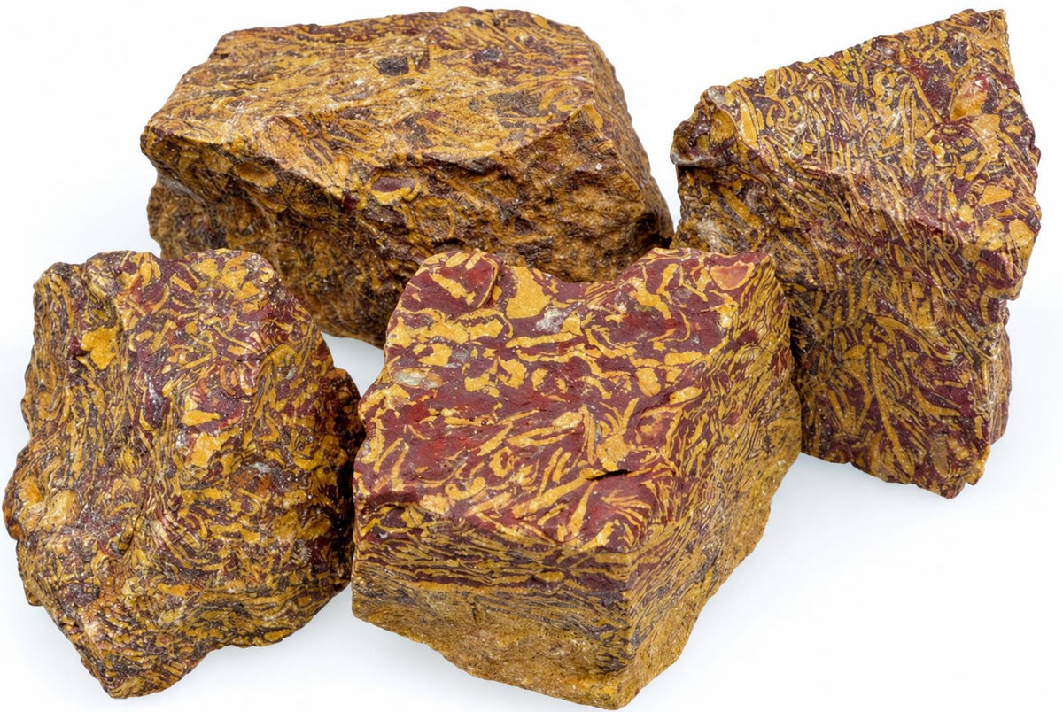Four raw jasper specimens with a snakeskin pattern of yellow and reddish-brown swirls on a white background.
