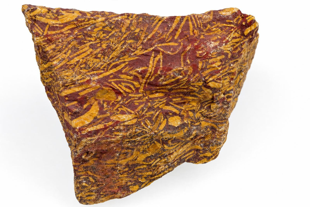 A raw Snakeskin jasper specimen with a dark red surface and intricate yellow, snake-skin-like patterns on a white background.