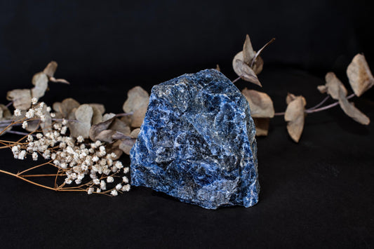 A rough blue rock with pale gray and white patches stands on a dark surface in front of dried leaves and small white flowers.