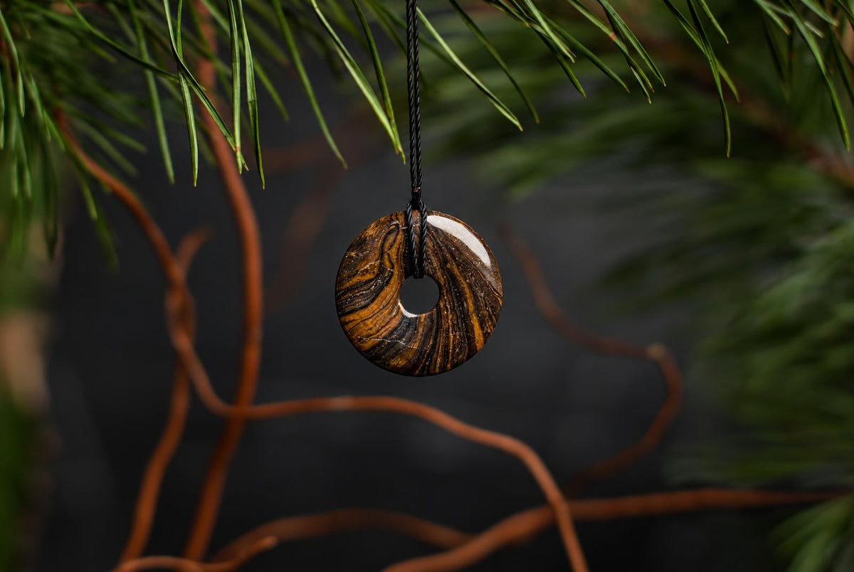 A circular brown pendant with a central hole and dark curved bands hangs from a black cord among green foliage and dried stems.