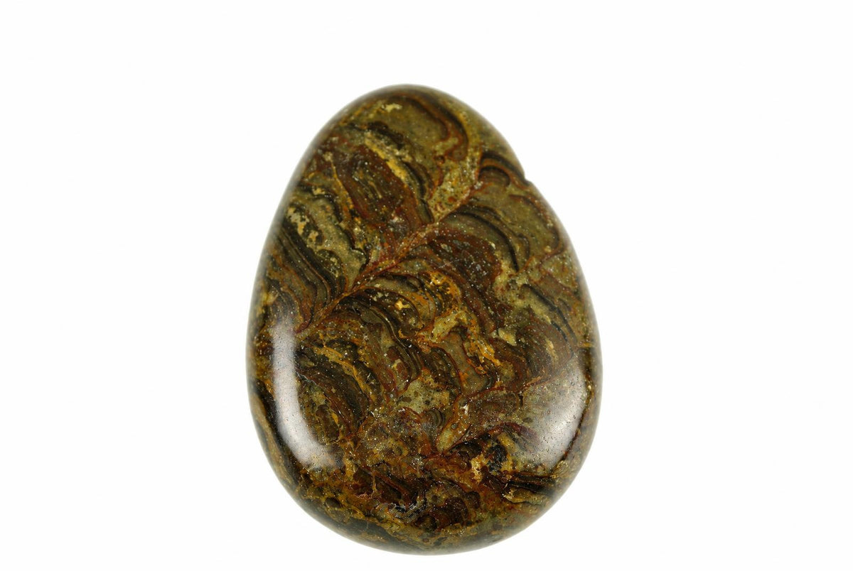 A polished stromatolite drop pendant shows dark brown and golden swirling patterns across its rounded face against a plain white background.