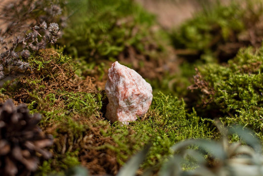 A pink and white raw stone rests on a bed of green moss, surrounded by dried plants and pinecones.