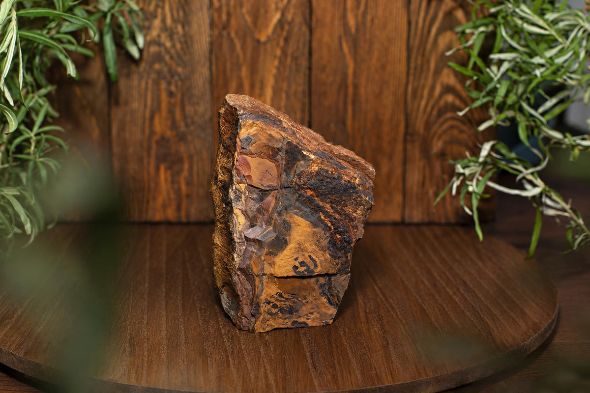 A rough upright stone with brown, orange and dark bands rests on a wooden display between trailing green leaves.
