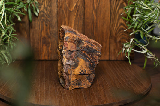 A rough upright stone with brown, orange and dark bands rests on a wooden display between trailing green leaves.