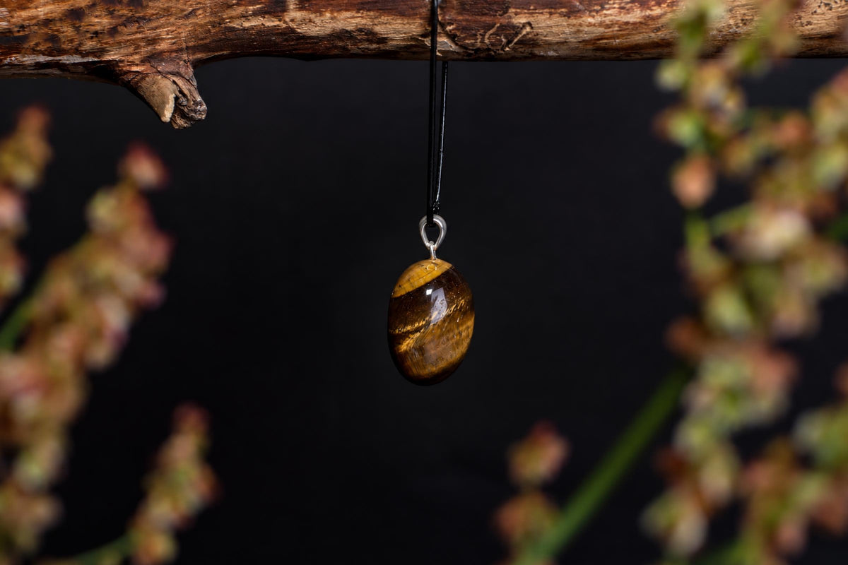 A polished oval pendant with brown and gold-colored bands hangs from a black cord beneath a branch against a dark background.