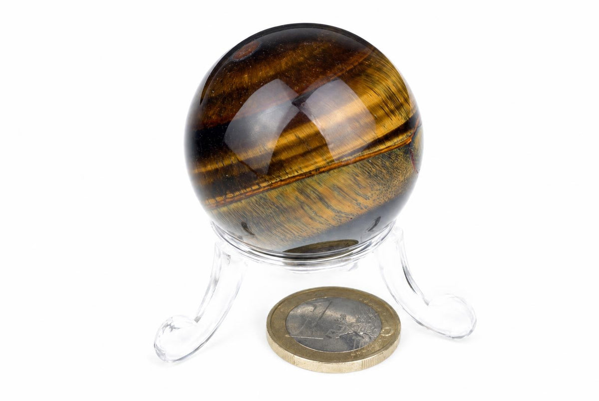 A polished sphere with brown and gold-colored bands rests on a clear stand beside a coin on a white background.