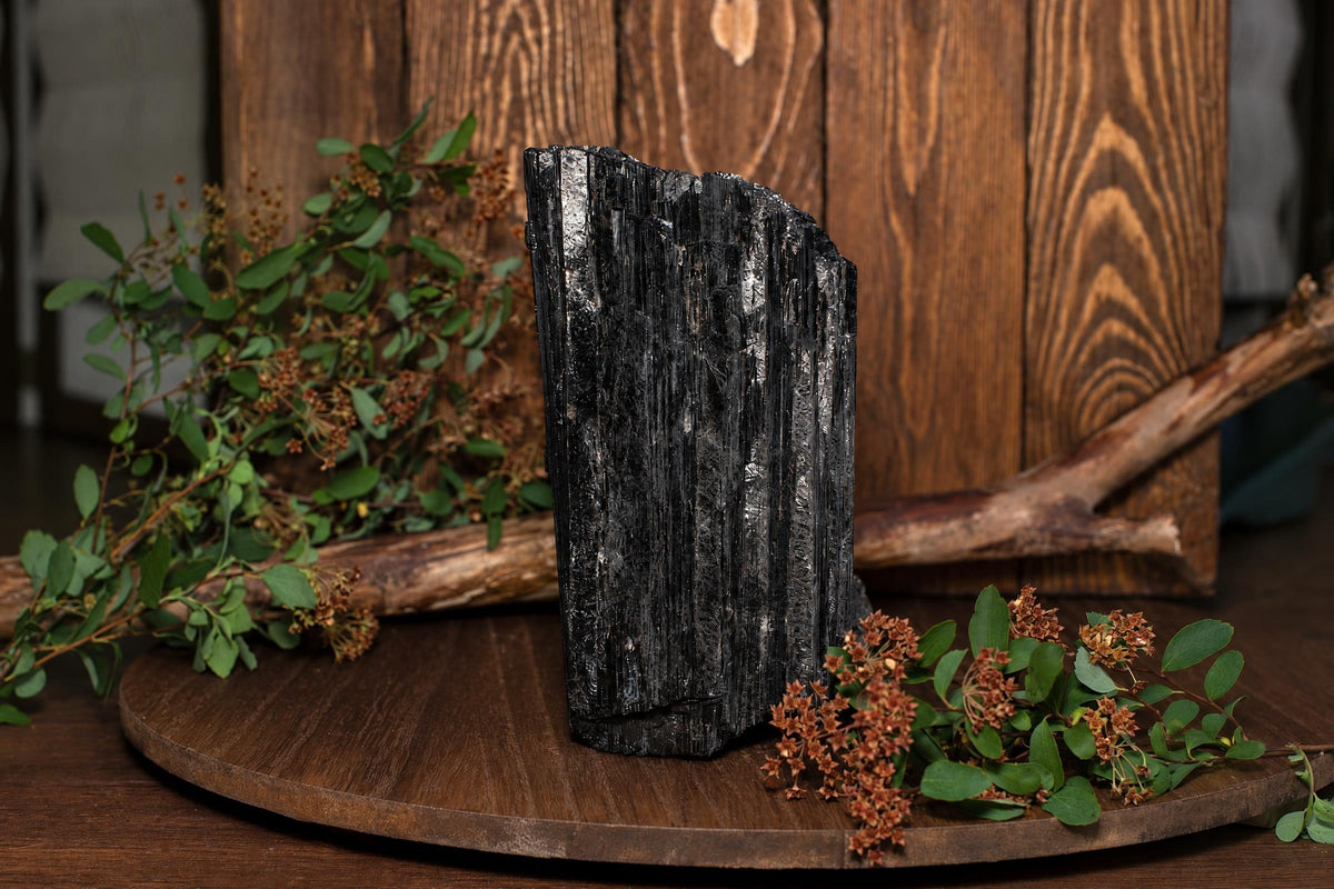A tall, black Tourmaline schorl crystal with vertical striations stands on a wooden surface, surrounded by greenery and branches.