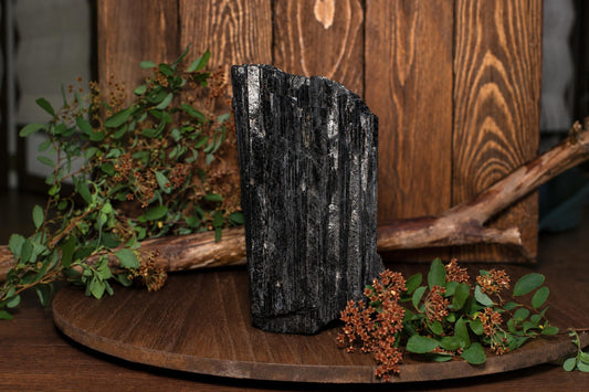 A tall, black Tourmaline schorl crystal with vertical striations stands on a wooden surface, surrounded by greenery and branches.