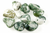 A collection of polished tree agate stones with white and green patterns on a pale surface.
