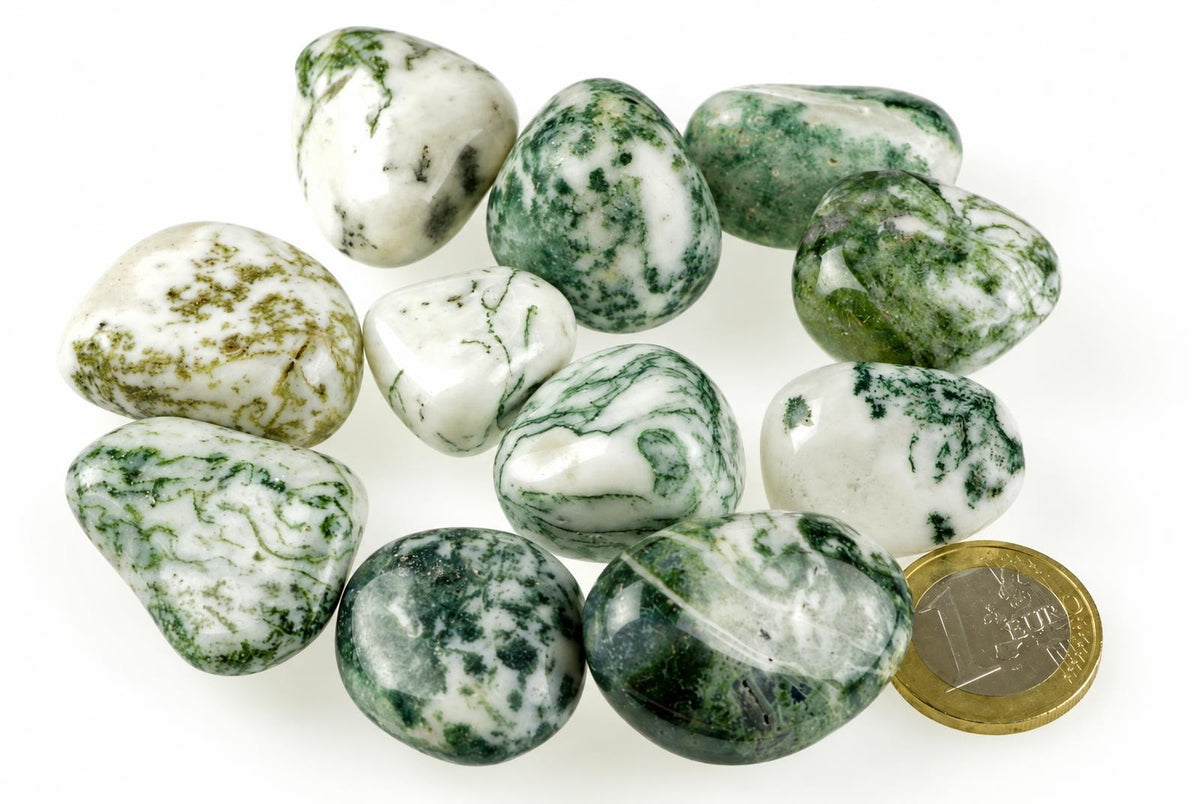 A collection of polished tree agate stones with white and green patterns, arranged on a pale surface next to a one-euro coin.