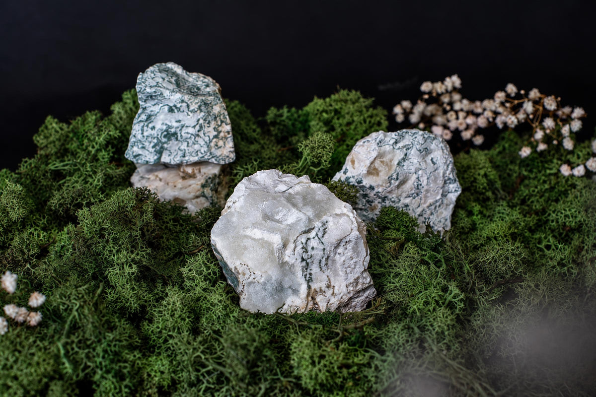 Three raw tree agate stones with white and green patterns rest on a dark surface covered in green moss.