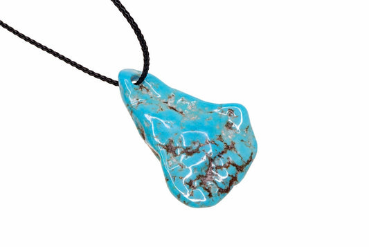 A turquoise pendant with dark brown matrix patterns hangs from a black cord against a white background.