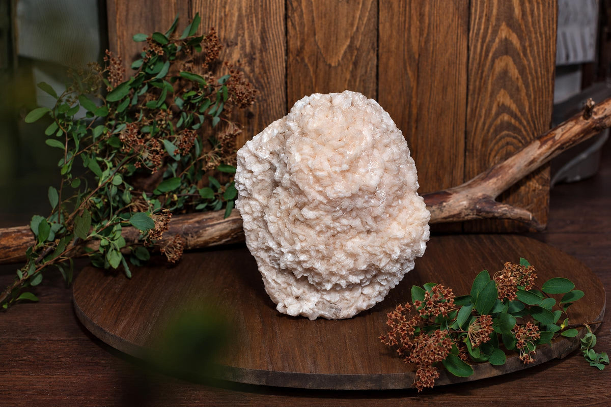 A large, rough-textured, off-white mineral specimen sits on a dark wooden surface, surrounded by greenery and branches against a wood-paneled background.
